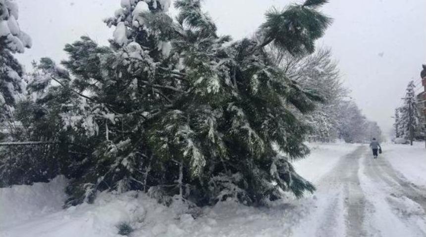 &Ccedil;aycuma Kar İle M&uuml;cadele Ediyor