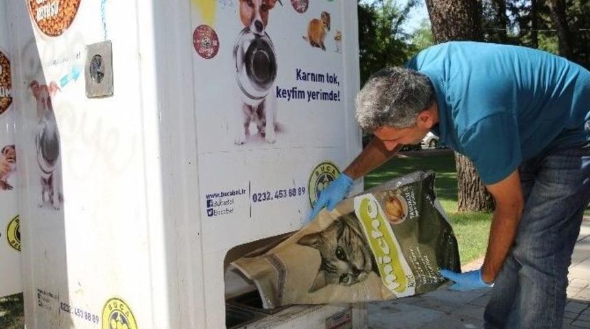 Buca&rsquo;da Sokak Hayvanları İ&ccedil;in Yoğun Mesai