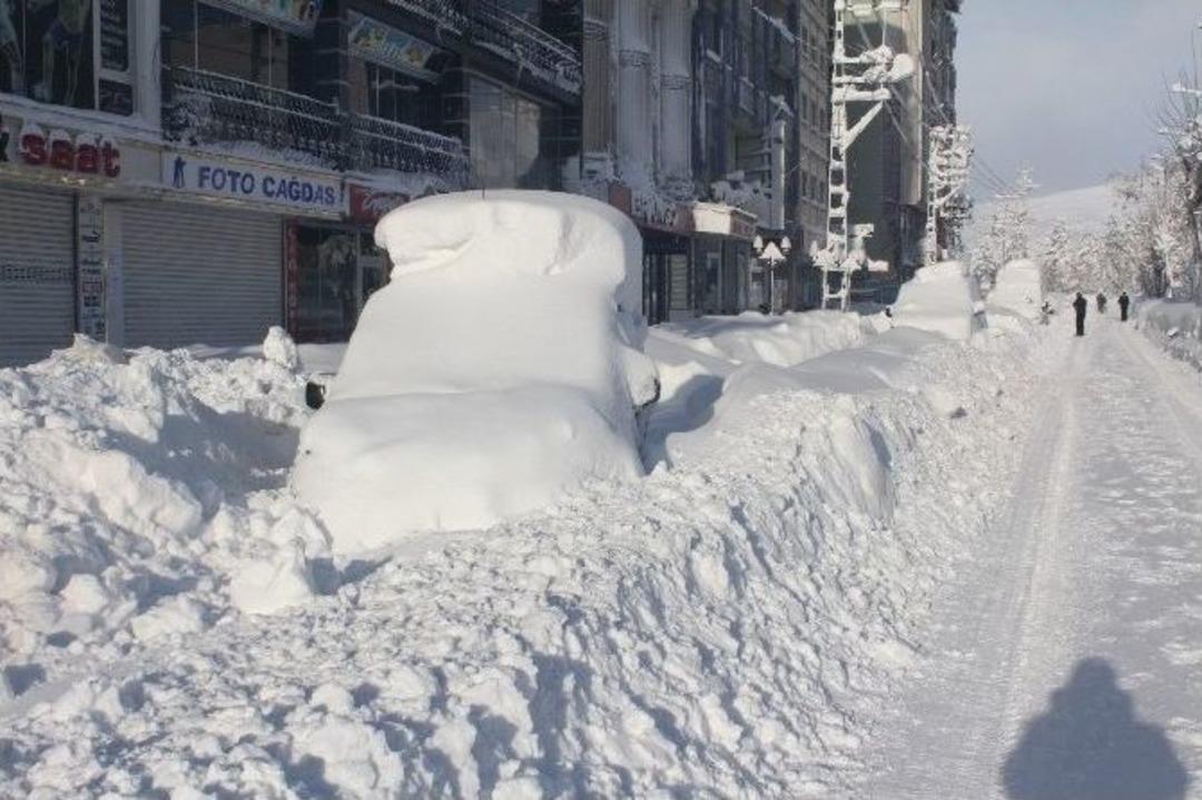 Y&uuml;ksekova Kara G&ouml;m&uuml;ld&uuml;