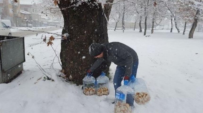 Sokak Hayvanlarına Duyarsız Kalmadı