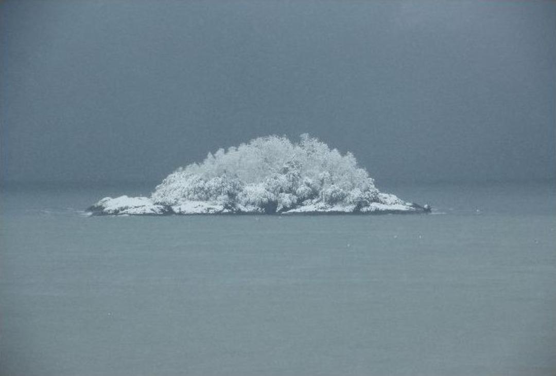 Yoğun Kar Yağışının Giresun&rsquo;da Kartpostallık G&ouml;r&uuml;nt&uuml;ler Ortaya &Ccedil;ıktı