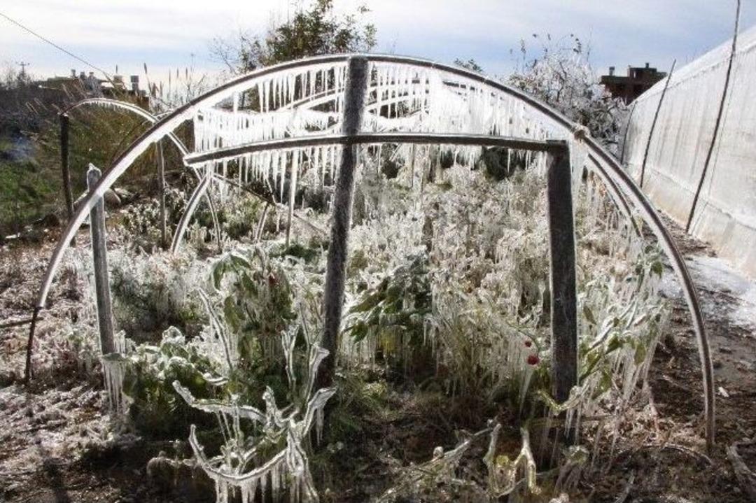 Alanya&rsquo;da Seraları Don Vurdu
