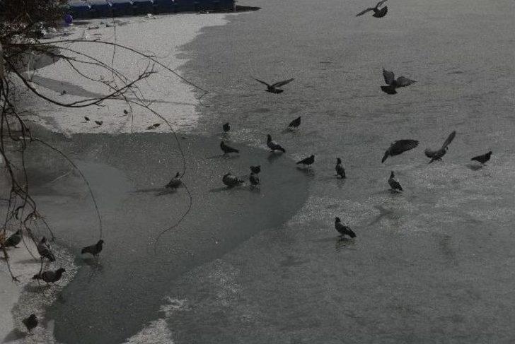 Porsuk Çayı Dondu, Vatandaşlar Telefona Sarıldı G4