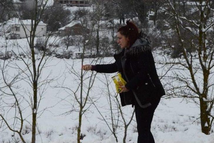 Vatandaşlar Karda Aç Kalan Kuşlar İçin Doğaya Yem Bıraktı G2