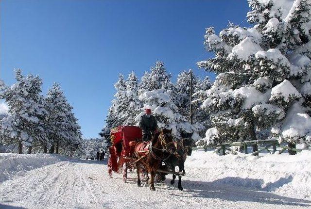 Abant’ta Tatilcilerin Kar Keyfi