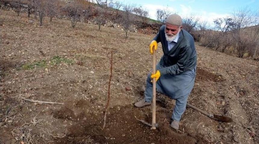 Kuraklık Nedeni İle &Ccedil;ift&ccedil;iler Tedirgin