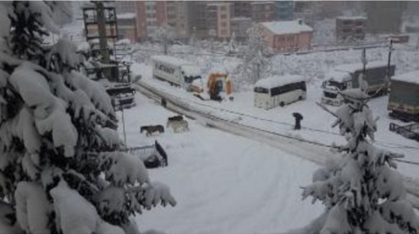 A&ccedil; Kalan Yılkı Atları Şehre İndi
