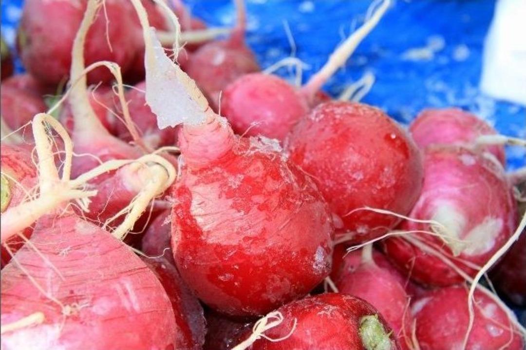 Kar Ve Don &Ccedil;arşı-pazarı Vurdu