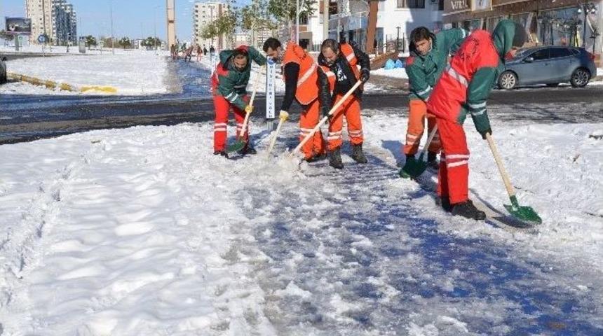 Eş Başkanlar Karla Mücadele Çalışmalarını Denetledi