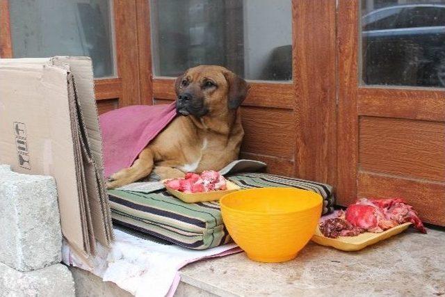 Yediği Önünde Yemediği Arkasında