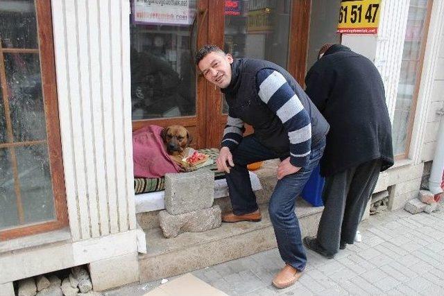 Yediği Önünde Yemediği Arkasında