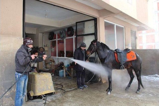 Kış Günü Tazyikli Soğuk Suyla Atın Hamlığını Aldılar