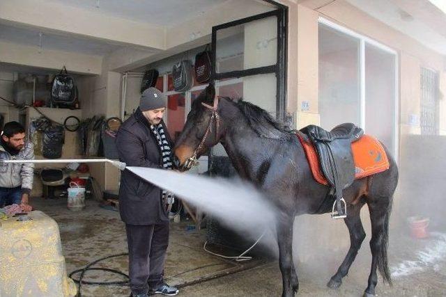 Kış Günü Tazyikli Soğuk Suyla Atın Hamlığını Aldılar