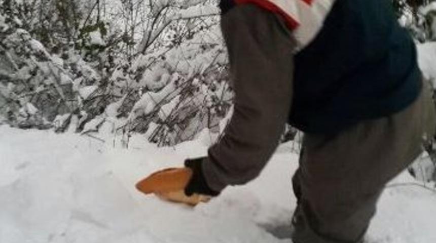 Zonguldak İl Jandarma Komutanlığı Ekipleri Yaban Hayvanlarını Unutmadı