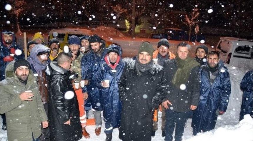 Karla M&uuml;cadele De S&uuml;t Molası