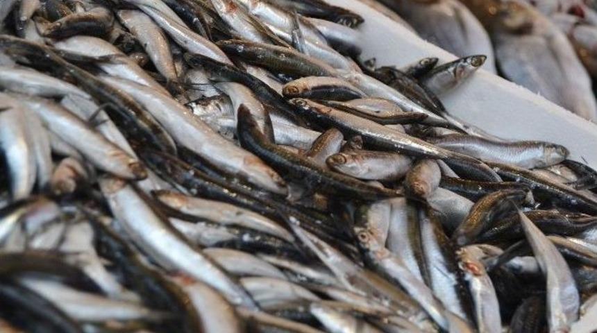 Kar Yağdı, Balık Fiyatları Y&uuml;kseldi