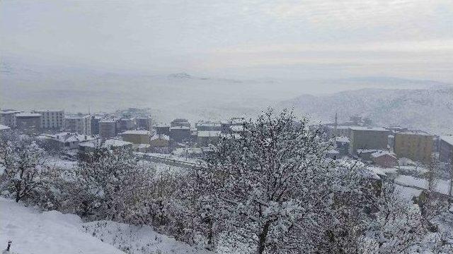 Kulp İlçesi Mevsimin En Soğuk Günlerini Yaşıyor