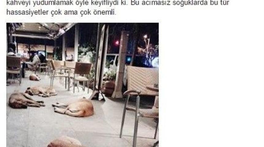 Bu G&uuml;zel G&ouml;r&uuml;nt&uuml; Yine Eskişehir&rsquo;den