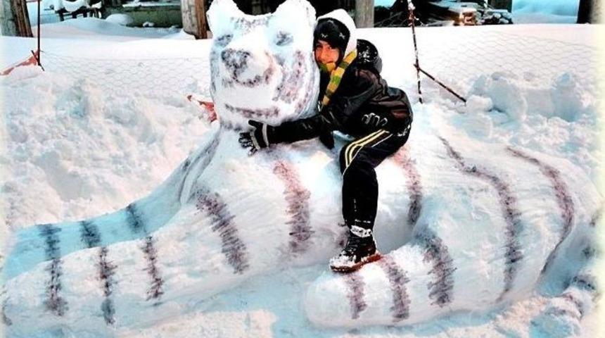 Bartın&rsquo;da Kardan Kaplan B&uuml;y&uuml;k İlgi G&ouml;rd&uuml;