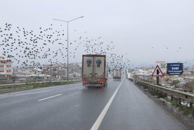 Tekirdağ’da Kar Yağışı Başladı