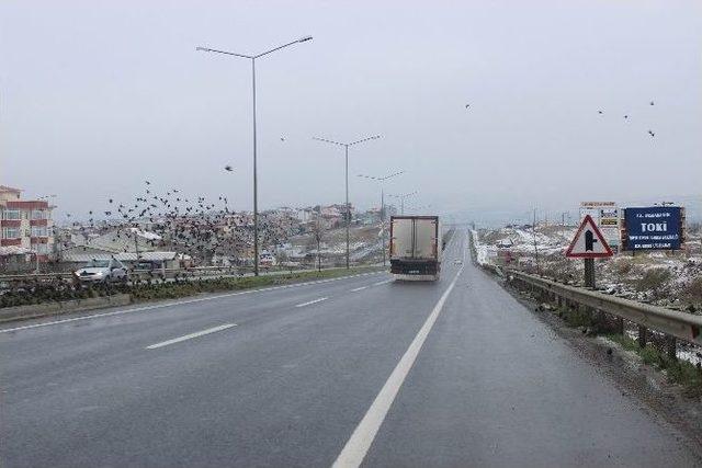 Tekirdağ’da Kar Yağışı Başladı