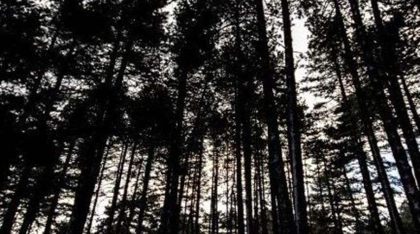 Kazdağları Beyaza B&uuml;r&uuml;nd&uuml;