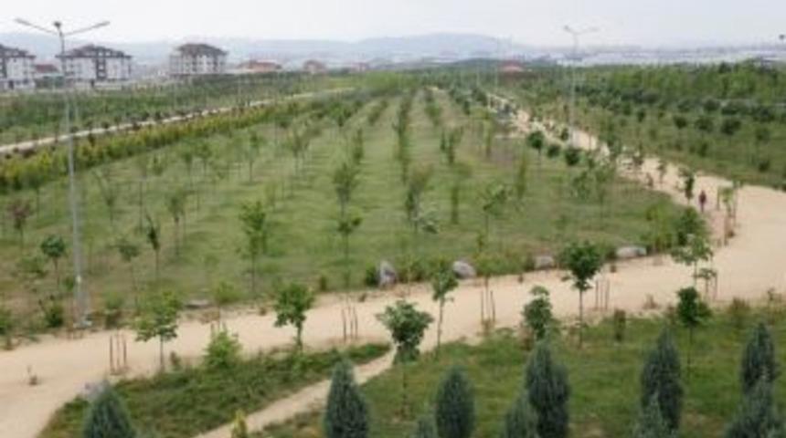B&uuml;y&uuml;kşehir Yaşanabilir Ve Daha Yeşil Bir Kocaeli İ&ccedil;in &Ccedil;alışıyor