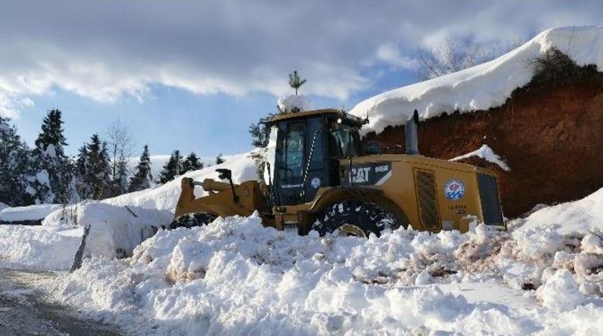 Trabzon Büyükşehir Belediyesi Kar Mücadelesini Sürdürüyor