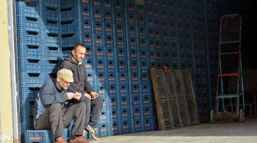 Resmen Başlayan Rus Ambargosu Ve Karlı Yollar, Hal&rsquo;i Sessizliğe B&uuml;r&uuml;d&uuml;