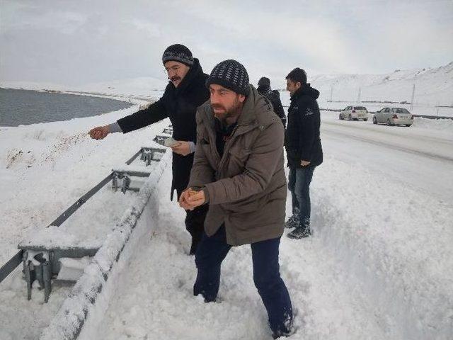 Van’da Sahipsiz Hayvanlar İçin Yem Bırakıldı