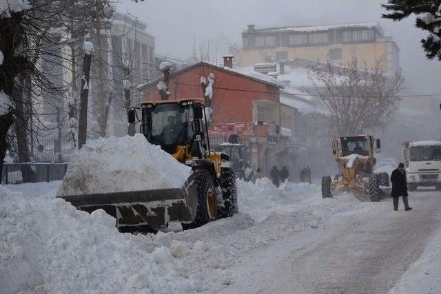 Tatvan’da Karla Mücadele Çalışması