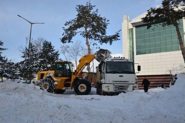 Tatvan’da Karla Mücadele Çalışması