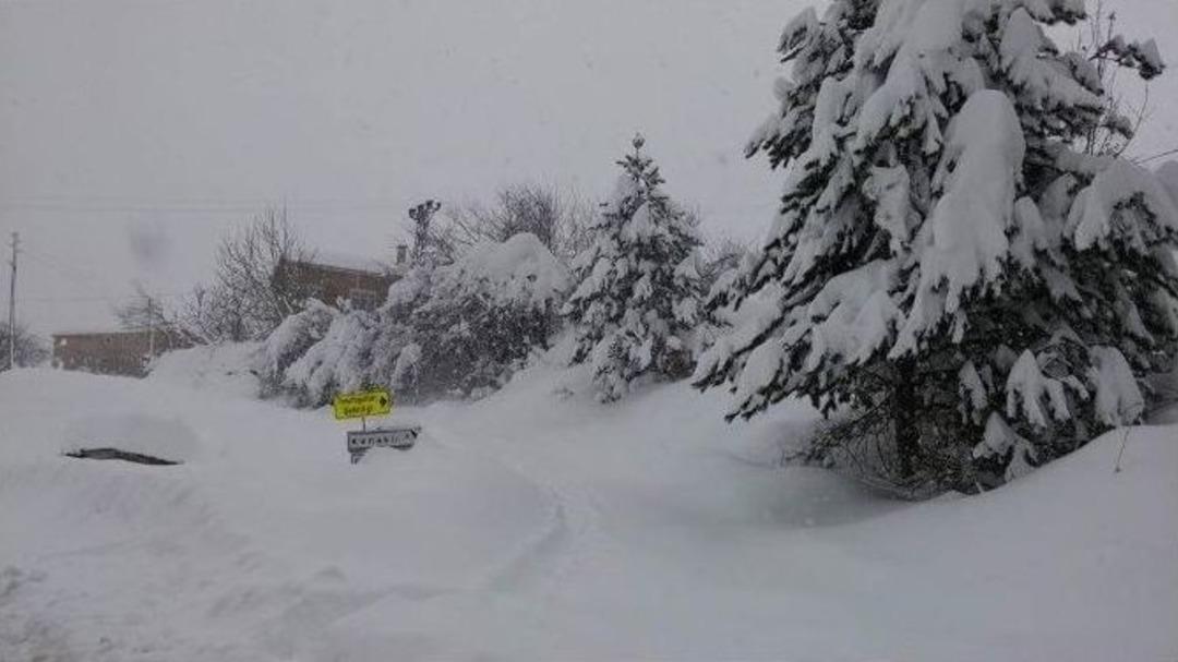 &Ccedil;atalzeytin&rsquo;de Hayat Fel&ccedil; Oldu