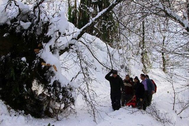 82 Yaşındaki Alzheimer Hastası, Kar Üzerinde Sedye İle Taşınarak Ambulansa Ulaştırıldı