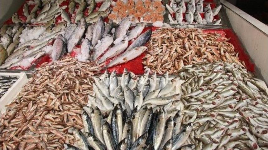Soğuk Hava Balık Fiyatlarını İkiye Katladı