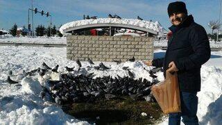 Karda Kışta Güvercinleri Aç Bırakmıyor