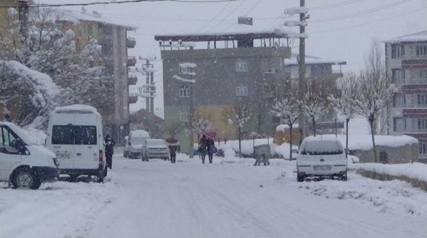 Kulp&rsquo;ta Kar Hayatı Olumsuz Etkiledi