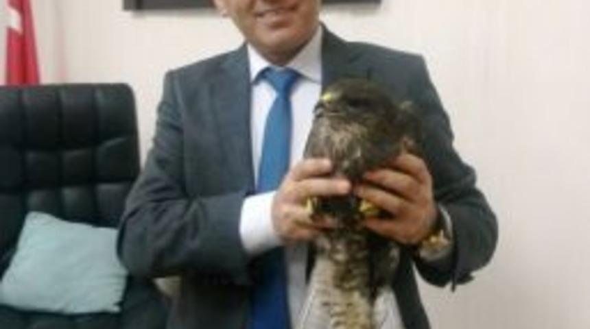 Yaralı Doğana M&uuml;d&uuml;r Sahip &Ccedil;ıktı