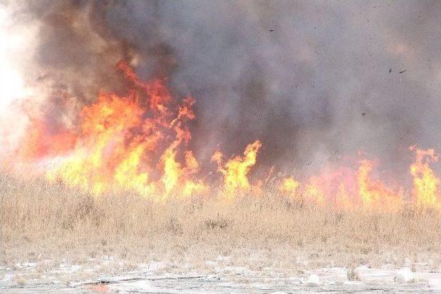 Ekşisu Sazlığı Alevlere Teslim Oldu