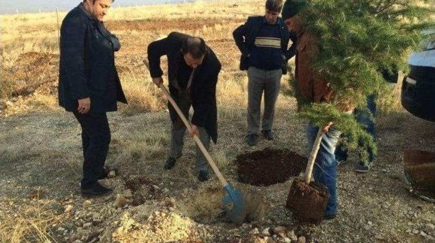 Adıyaman Belediyesi 60 Bin Fidanı Toprakla Buluşturdu