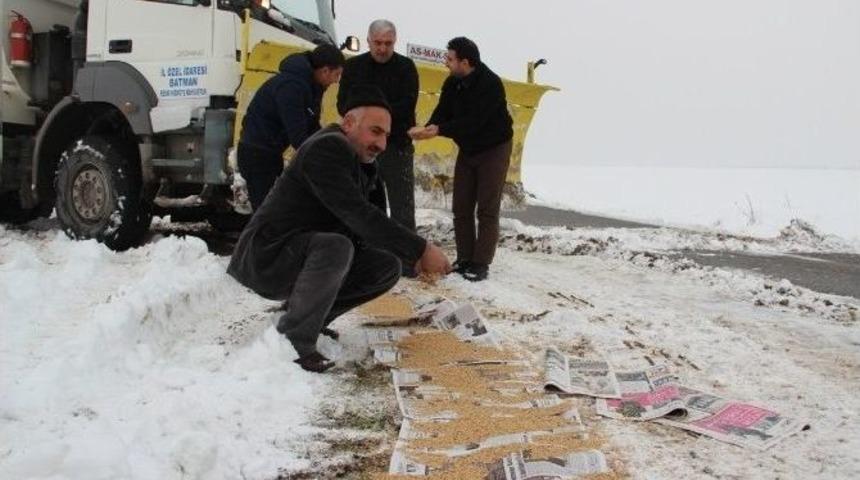 Batman&rsquo;da Yaban Hayvanları İ&ccedil;in Doğaya Yem Bırakıldı