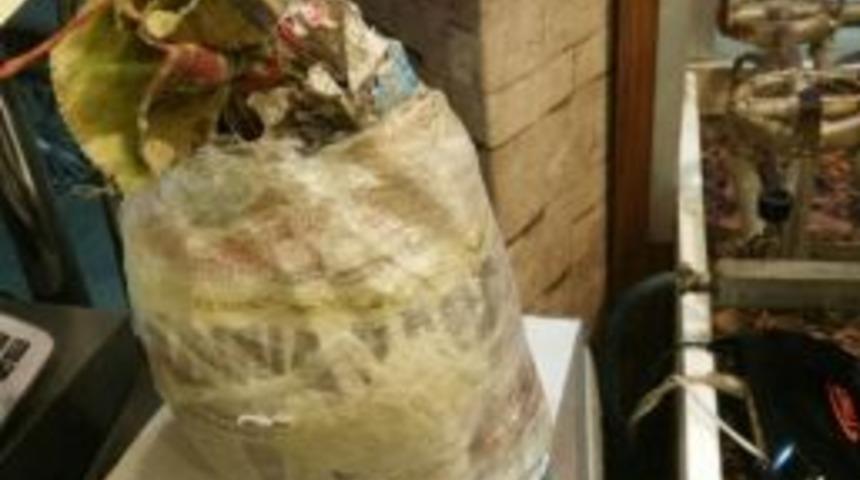 Erzincan&rsquo;da Uyuşturucu Satıcısı Tutuklandı