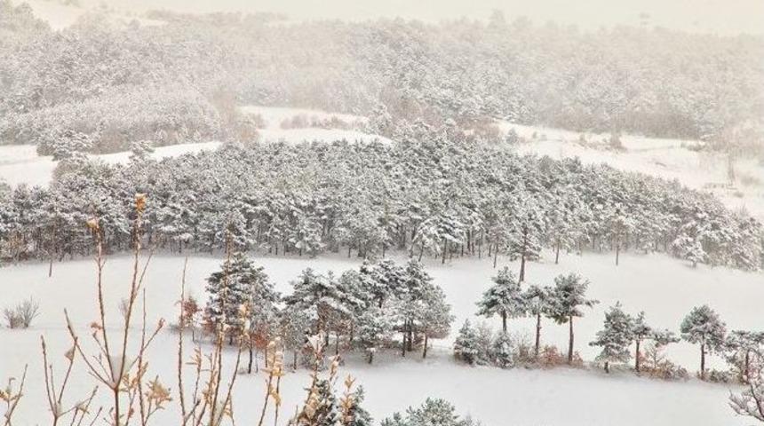 Beyaz &Ouml;rt&uuml; Sakarya&rsquo;ya &Ccedil;ok Yakıştı