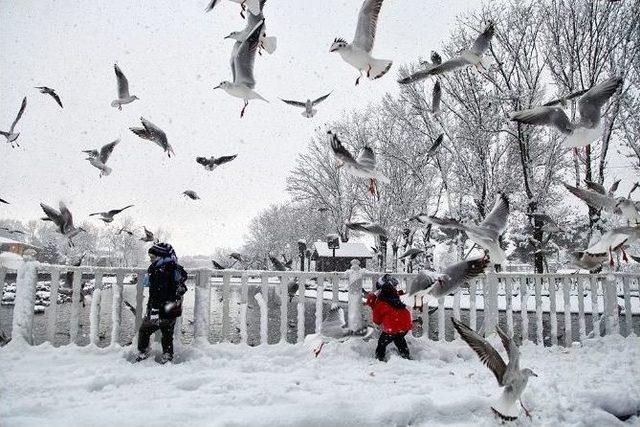 Beyaz Örtü Sakarya’ya Çok Yakıştı