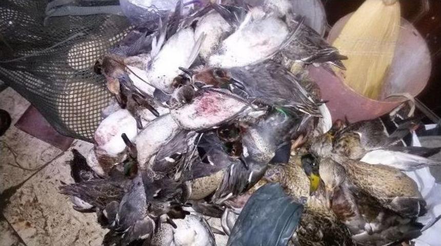 Jandarma&rsquo;dan Ka&ccedil;ak Avcılara Operasyon