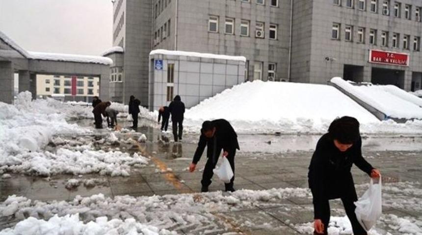 Yaban Hayvanları İ&ccedil;in Yemleme Yapıldı