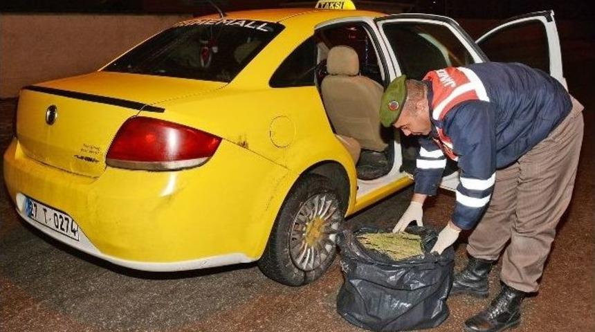 Jandarmadan Uyuşturucu Operasyonu