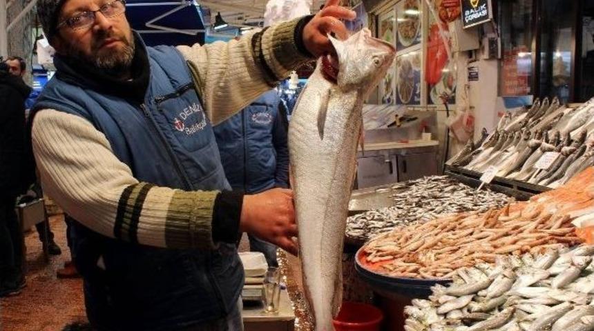 Balığın Kulağına Kar Suyu Ka&ccedil;tı, Fiyatlar Fırladı