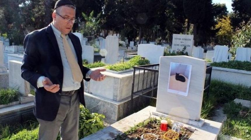Kedisini, Vasiyet &Uuml;zerine Kayınpederinin Mezarına G&ouml;md&uuml;