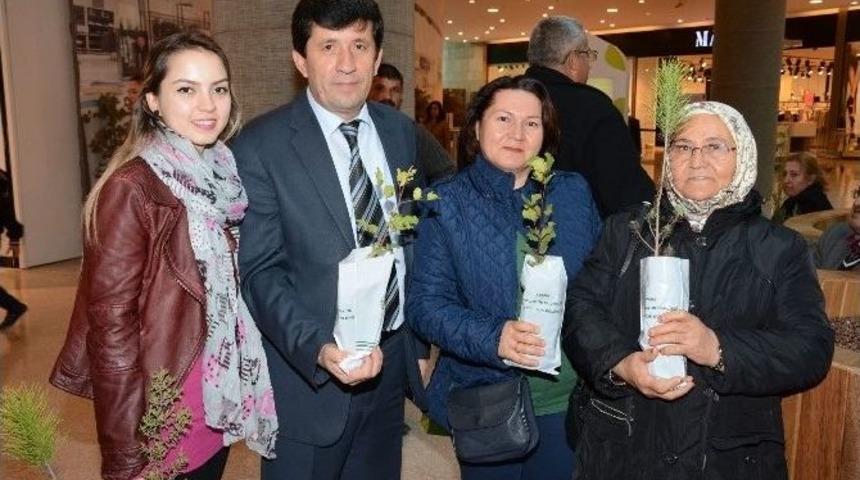Avm Ziyaretçilerine 1200 Fidan Dağıtıldı